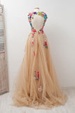 A-line Sleeveless Open Back Appliques Tulle Long Prom Dresses Flowers OKE81